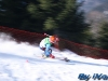 SKP_Blegos2010_ 098
