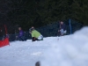 SKP_Blegos2010_ 415