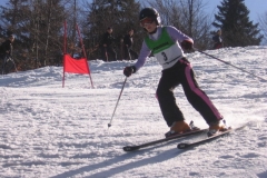 Veleslalom Blegoš 2010