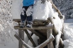 Smučarski dan na Starem vrhu